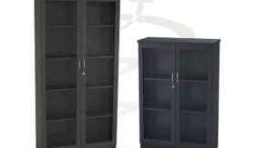 Glass Bookcase